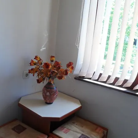 Apartament Tomovi *